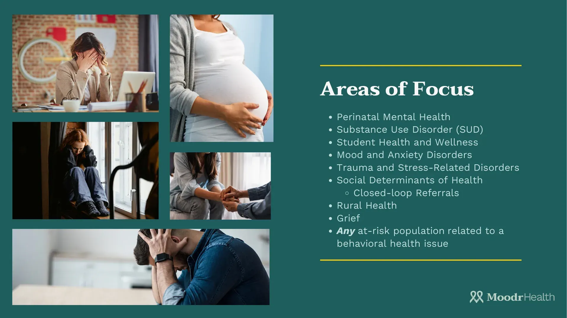 Deck slide, Areas of Focus: perinatal mental health, substance use disorder, student health, rural health and other at-risk populations