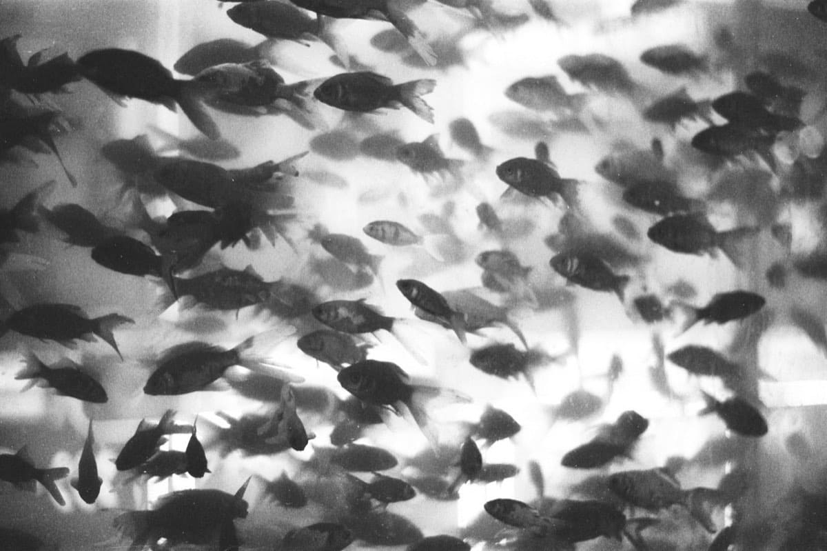 What Marketing Should an Early-Stage Startup Prioritize First?