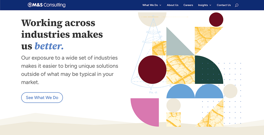 M&S Consulting campaign application