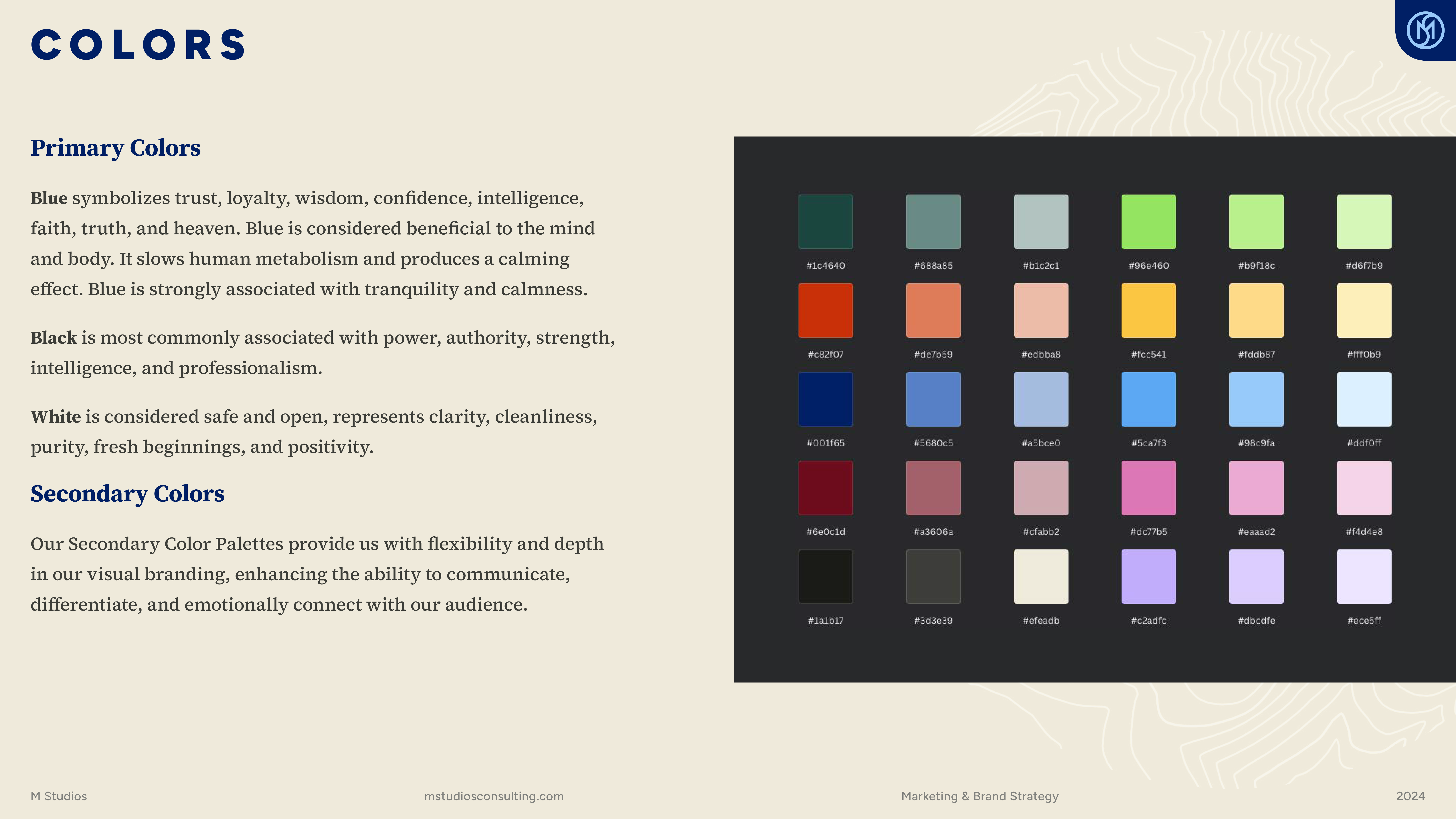 M&S Consulting brand guidelines detail pages