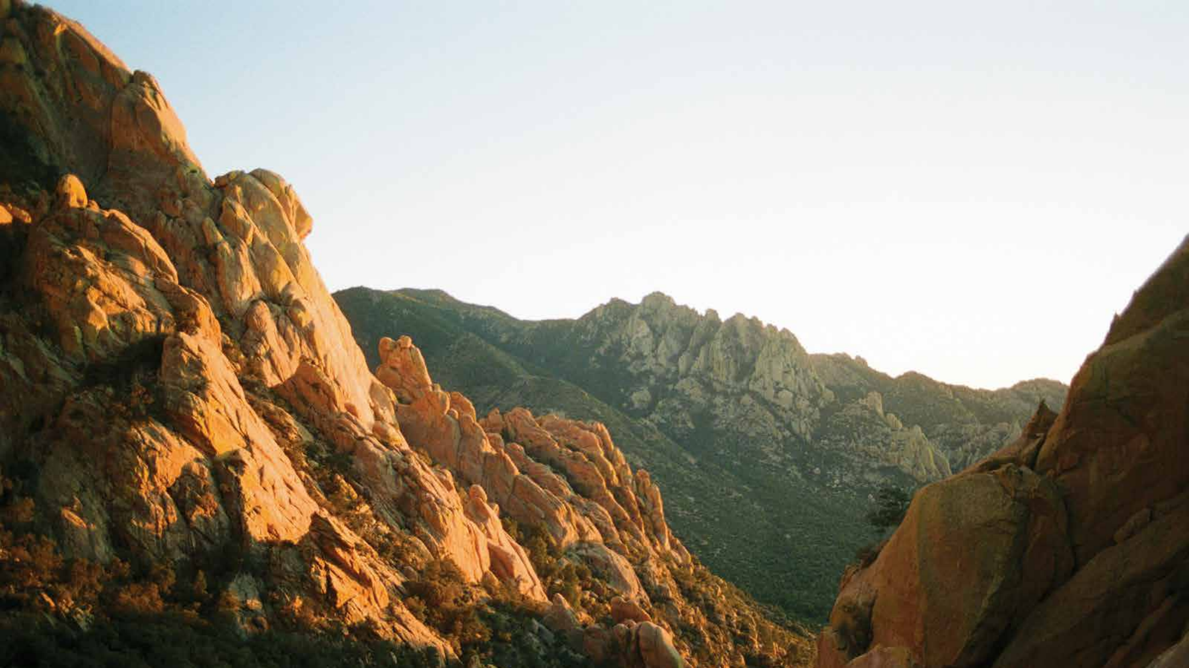 Wholly Balls landscape brand imagery